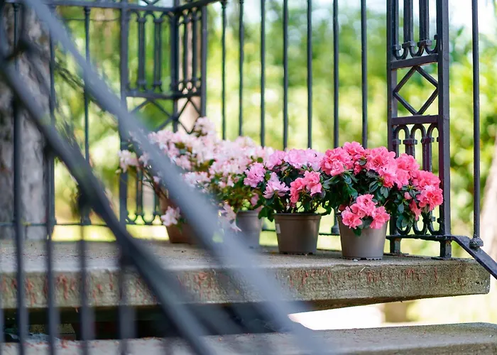 Ca' Bianca アパート *